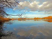 octagon park pond.jpg